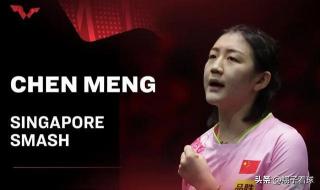 WTT新加坡大满贯2023 WTT新加坡大满贯2023